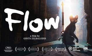 affiche-film-flow