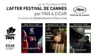 img - after cannes