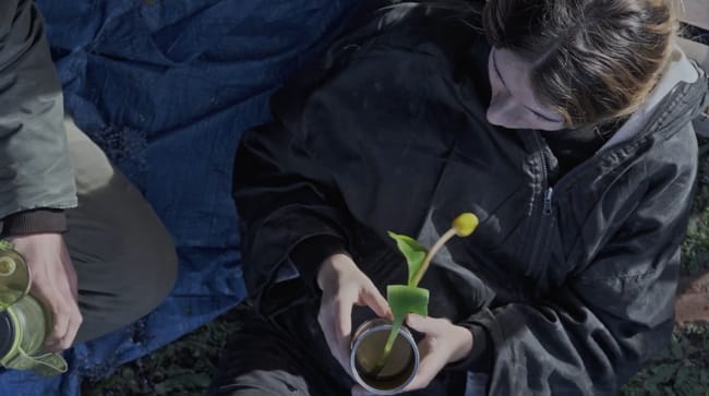 Img-Nikon-Film-Festival