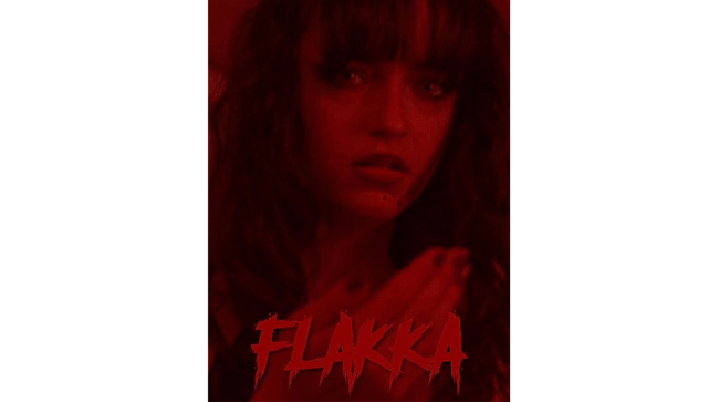 Affiche Nikon Film Festival 15ème édition