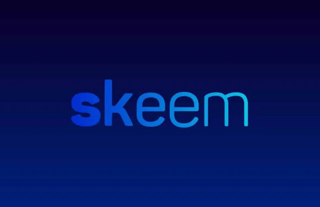 img-skeem-1.png